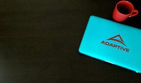 Adaptive_B2B_Strategies